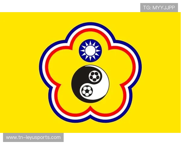 Chinese Taipei团队未来规划：追求卓越的下一步，chinese of taipei